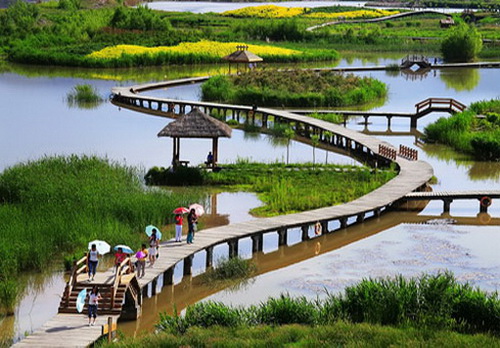 悠游兰州银滩湿地公园